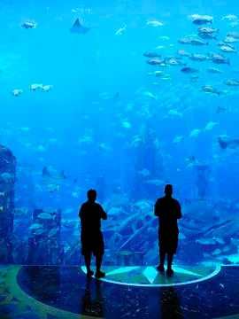 Large aquarium Stock Photos