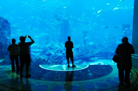 Large aquarium Foto stock