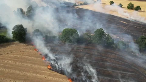 Large area of Farm fields on fire in Essex UK summer 2022  heatwave drone Vídeos de archivo 201370800