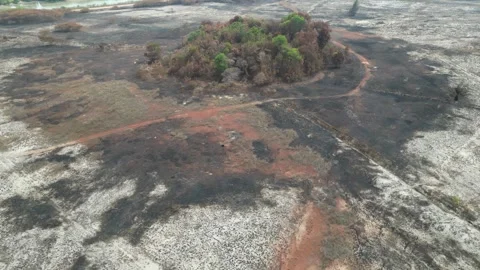 A large area of land is covered in ash and dirt Видео 314389901