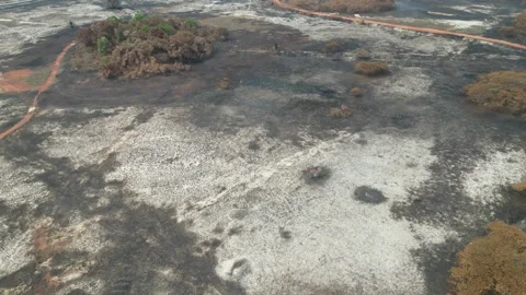 A large area of land is covered in ash and dirt Видео 317258408