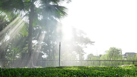 Large area modified pipe for garden watering sprinkle Stock Footage 149881227