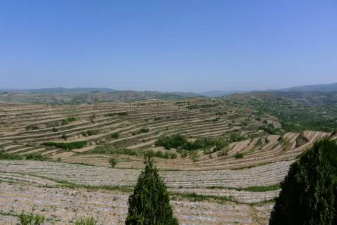 A Large Area of Terraces Stock Photos