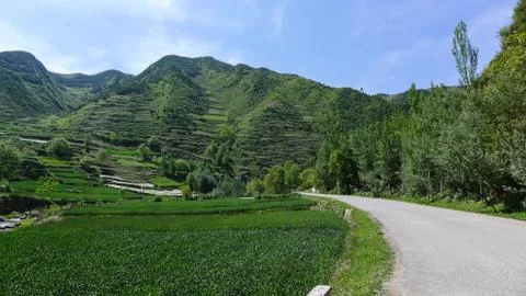 A Large Area of Terraces Stock Photos