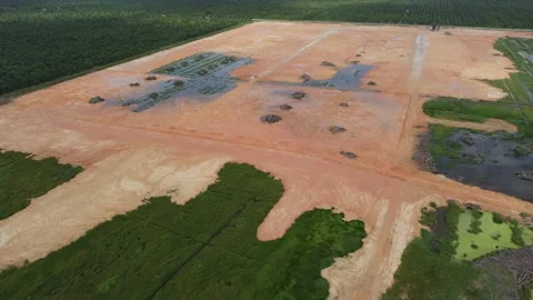 Large area of trees is cut down or land clearing Stock Footage 147080129