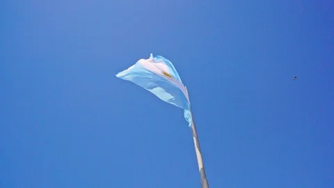 Large Argentinan flag on pole on a sunny day Vídeo Stock 109508115