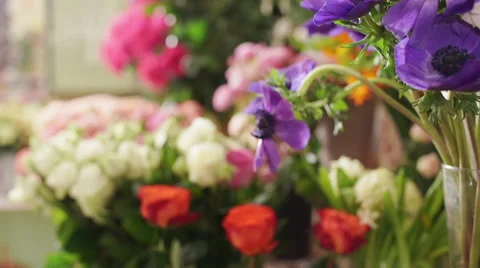 Large array of flowers in florist shop. Slow motion Stock Footage 62473259