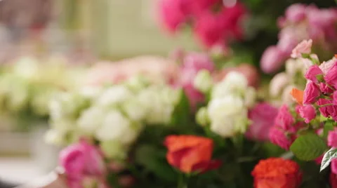 Large array of flowers in florist shop. Slow motion Stock Footage 62473360