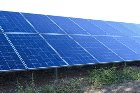 Large array of solar panels installed on field for renewable energy production, Stock Photos