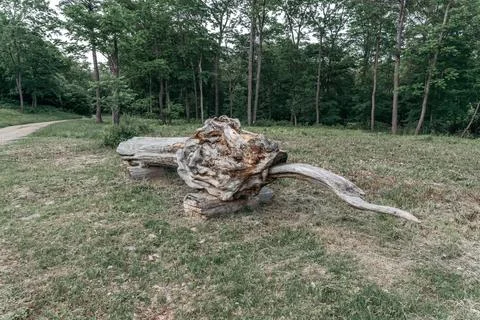 Large artificial kite, dragon made of logs, wood. Stock Photos