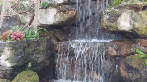 A large artificial waterfall and many colorful koi fish swimming around. Stock Footage 300003803