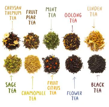 Large assortment of fresh fermented tea made from flowers, herbs, leaves and  Stock Photos