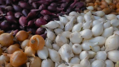 Large assortment of onions closeup Stock Footage 128979957