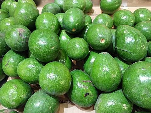 Large Avocado Fruit Stock-Fotos