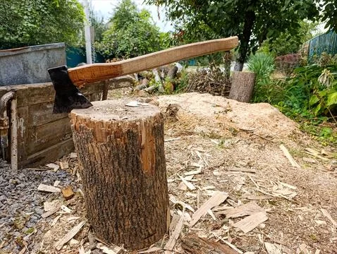 A large axe sitting on top of a tree stump 스톡 사진