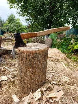 A large axe sitting on top of a tree stump Foto stock