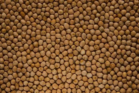 Large background of raw chickpeas for text overlay Stock Photos