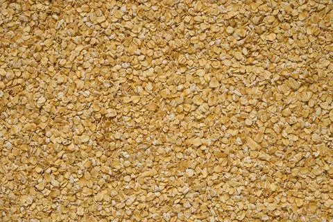 Large background of raw oatmeal for text overlay Foto stock