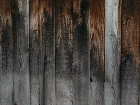 Large background texture of the wall of gray old wooden boards Stock Photos
