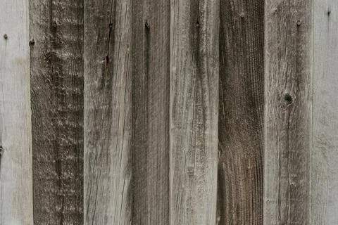 Large background texture of the wall of gray old wooden boards Stock Photos