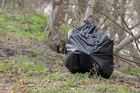 A large bag of garbage was thrown in the forest.Forest pollution by people af Stock Photos