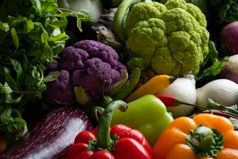 Large baking pan with fresh mixed colourful vegetables Stock Photos