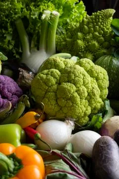 Large baking pan with fresh mixed colourful vegetables Stock Photos