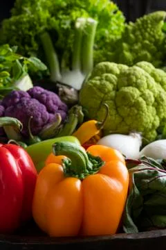 Large baking pan with fresh mixed colourful vegetables Stock Photos