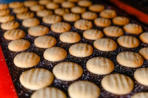 Large baking tray with shortbread Stock Photos