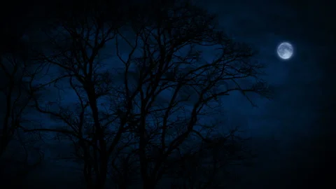 Large Bare Tree On Windy Night With A Full Moon Stock-Footage 152883113