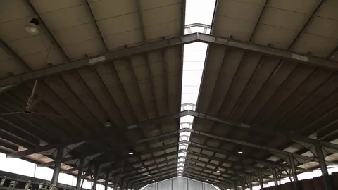 Large barn for many cows Vídeos de archivo 69187736