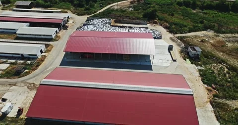 Large Barn Storage Area Modern Farming Fascility Animals Chicken Cows Aerial Stock Footage 289417786