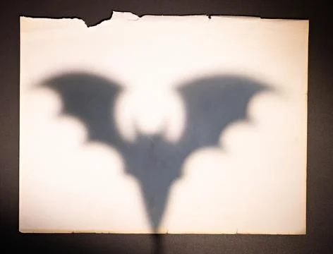 Large bat shadow on vintage torn paper for Halloween poster spooky banner o.. Stock Photos