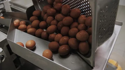 A large batch of eggs is prepared at the food production Stock Footage 322219750