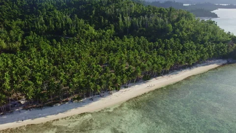 Large beach with palm trees and blue water Video stock 275524181