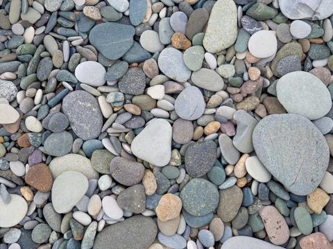 Large beach pebble. Background of small stones. Gray background from stones.  Stock Photos
