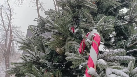 A large, beautiful tree, decorated with Christmas ornaments Stock Footage 324904052