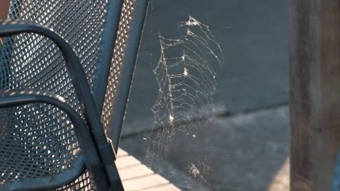 A large beautiful web develops in the wind in the sunlight on a metal chair. 動画素材 240185375