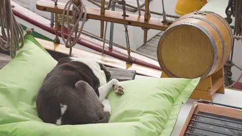 A large bed sitting in a chair Video stock 155357975