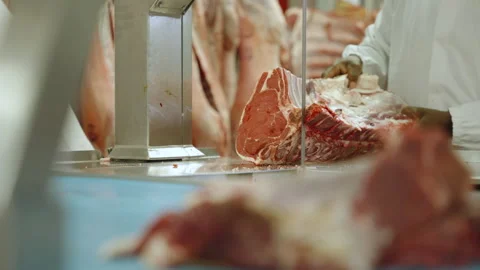 Large Beef Rib Section Guided Through Bandsaw in Processing Plant Stock Footage 340294577