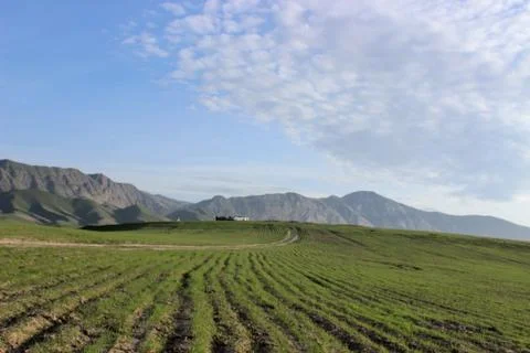 Large big mountains Foto stock
