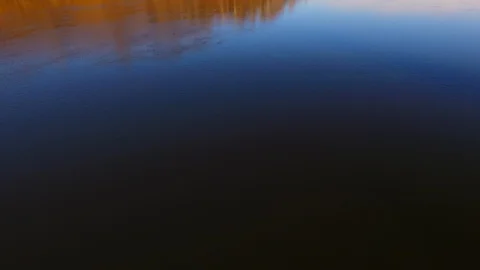 To the large birches Stock Footage 129126276