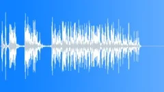 Large Bird Taking OffSound Effect