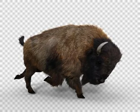 A large Bison in charging pose. 3D rendering isolated on transparent backgrou Stock Illustration