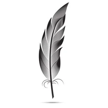 A large black and white feather. graphic arts Stockillustratie