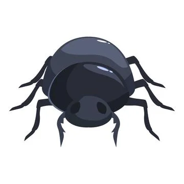 Large black beetle crawling on white background Stock Illustration