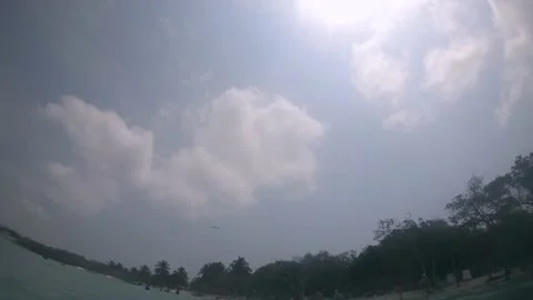 A large black bird is flying above a paradisiac beach with trees. The bird Vídeo Stock 148801100