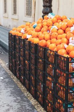 Large black boxes with oranges are in the yard Stock Photos