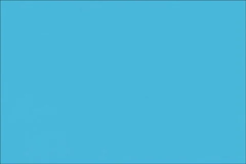 Large Blooms DV 動画素材 362584