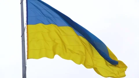 The large blue and yellow flag of Ukraine flutters in the wind on a light Stock Footage 307167980